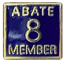 Members 8 Year Pin